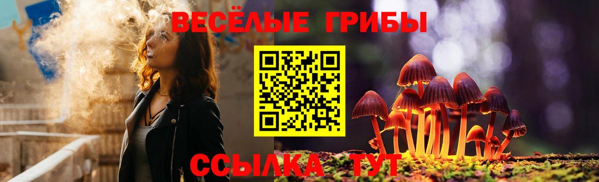 Псилоцибиновые грибы мицелий  магазин продажи   Тимашёвск  Вход с VPN 